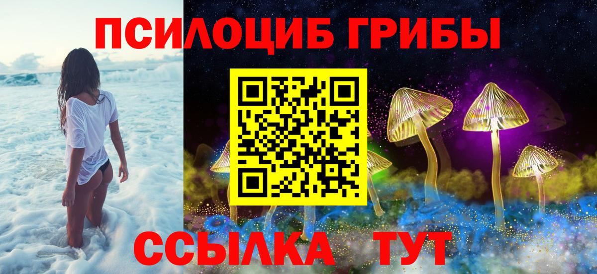 Псилоцибиновые грибы мицелий Смоленск