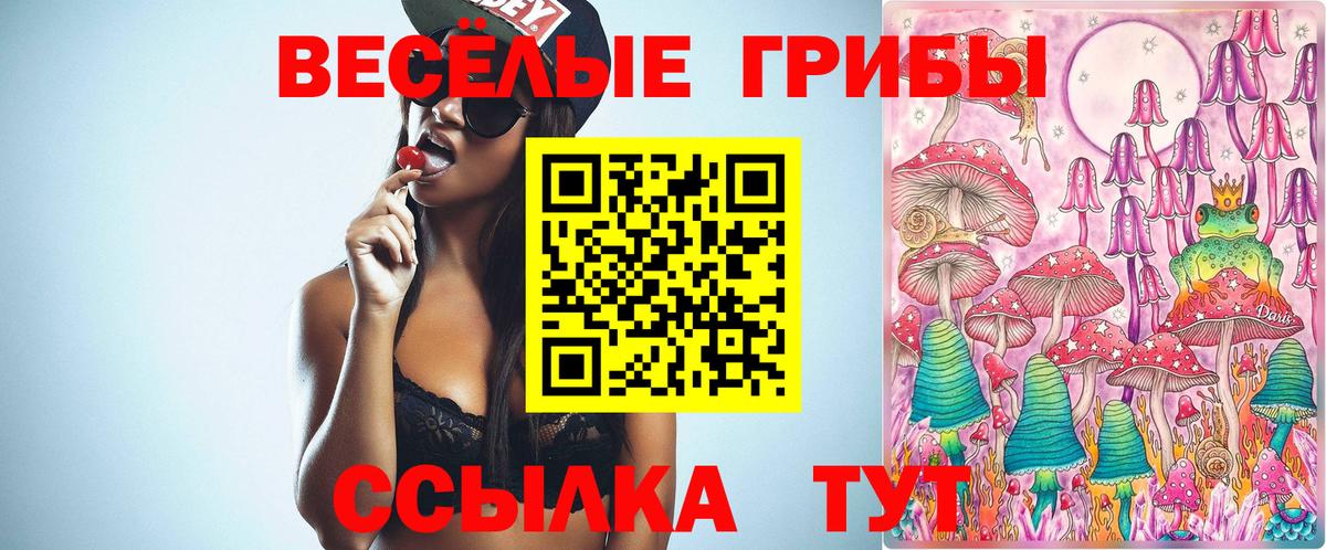 Смоленск  Псилоцибиновые грибы прущие грибы  Вход с VPN 